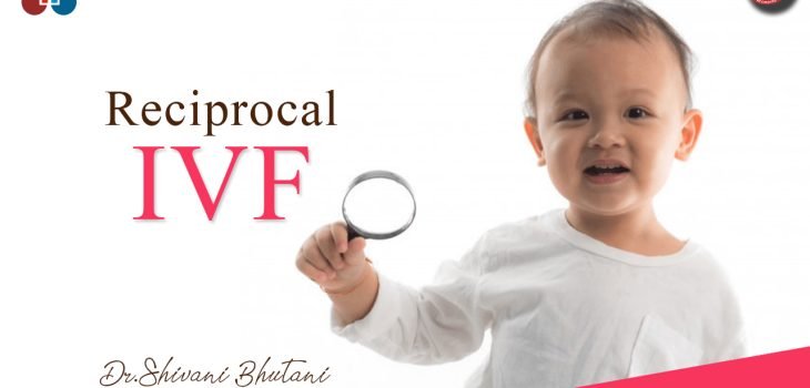 Reciprocal-IVF-Shared Motherhood