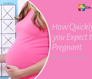 How-quickly-can-you-Expect-to-get-Pregnant