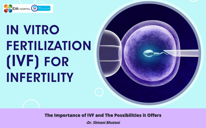 The Importance of IVF