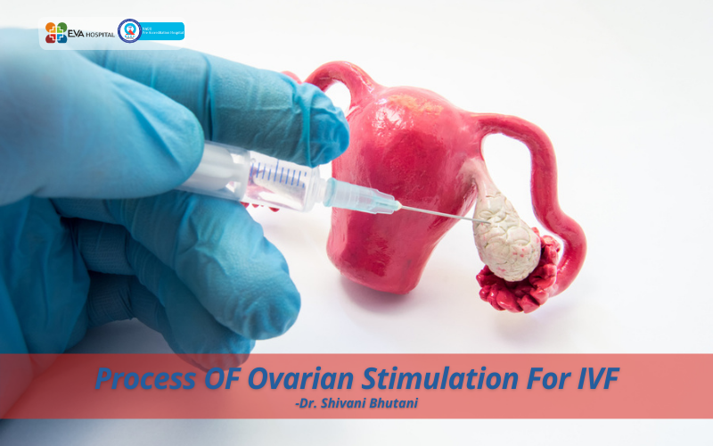 Process Of Ovarian Stimulation For IVF