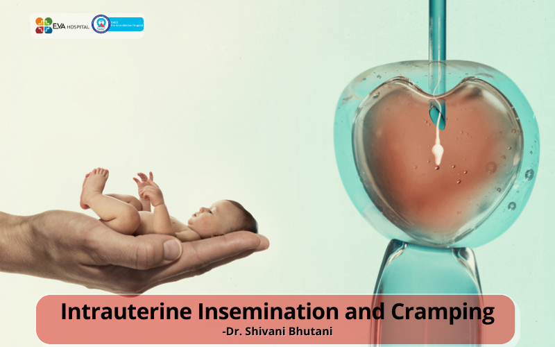 Symptoms of IUI Pregnancy  Signs of Intra Uterine Insemination Success