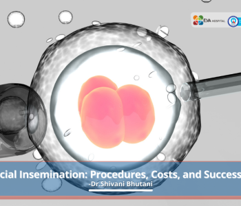 Artificial-Insemination-Procedures-Costs-and-Success-Rates