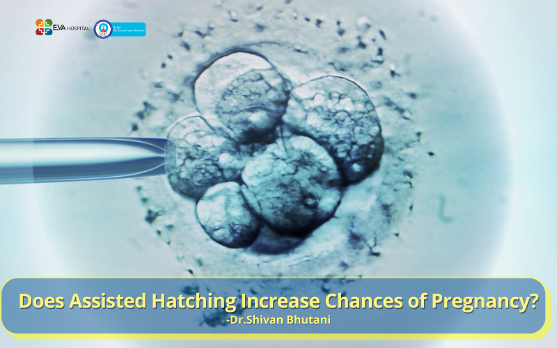 Does Assisted Hatching Increase Chances of Pregnancy
