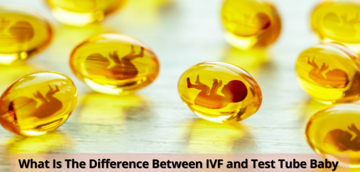 Eva-What-is-the-difference-between-IVF-and-Test-Tube-Baby-