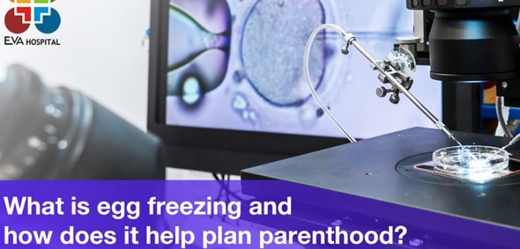 What-is-Egg-Freezing-and-How-does-it-Help-Plan-Parenthood