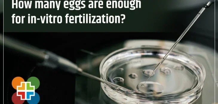How-many-eggs-are-enough-for-in-vitro-fertilization
