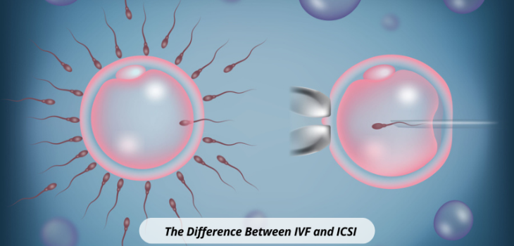 EVA-The-Difference-Between-IVF-and-ICSI