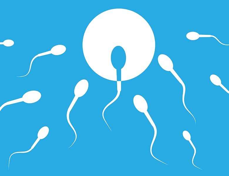 Treatment-Process-of-Low-Sperm-Count
