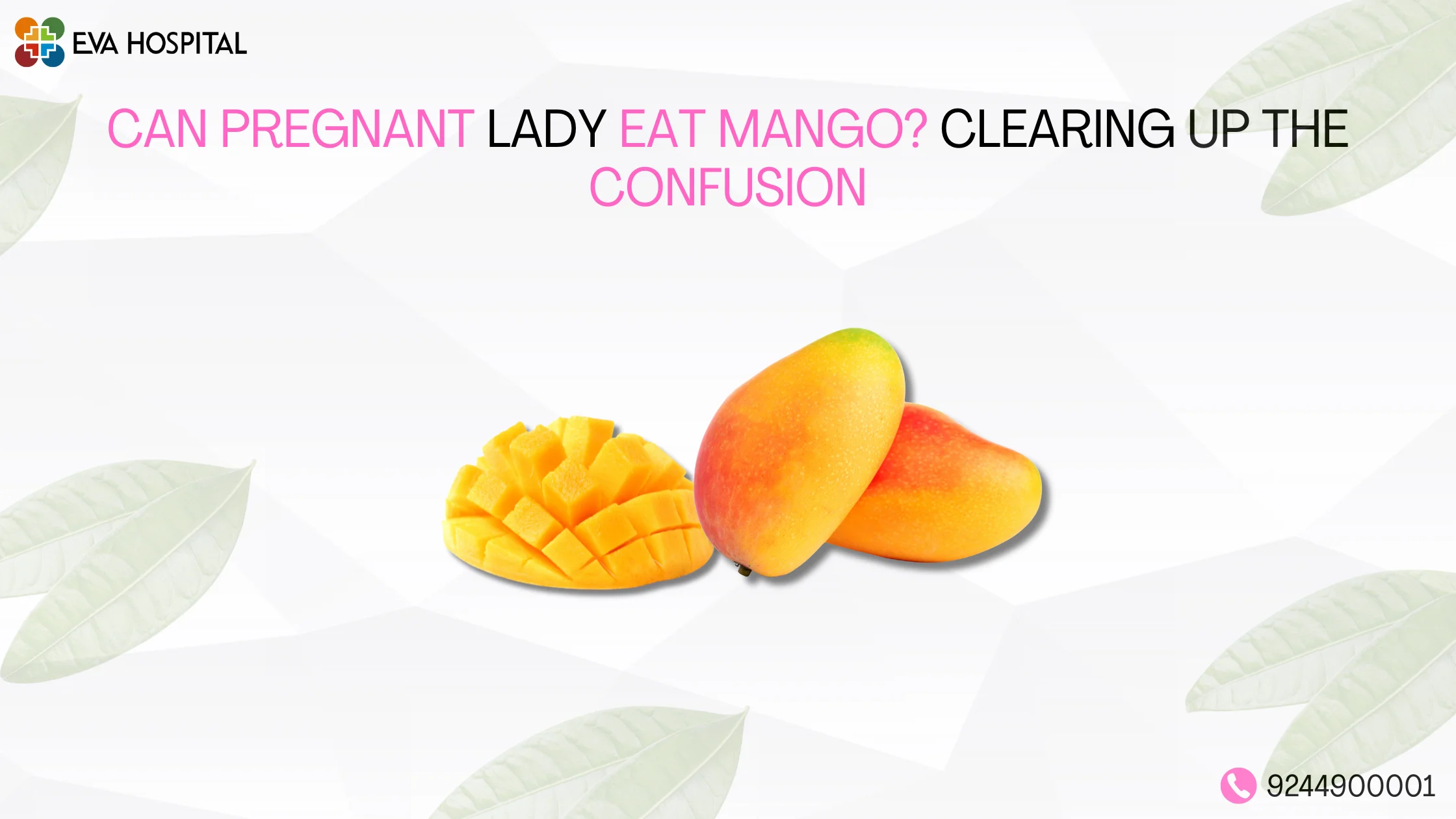 Can Pregnant Lady Eat Mango?