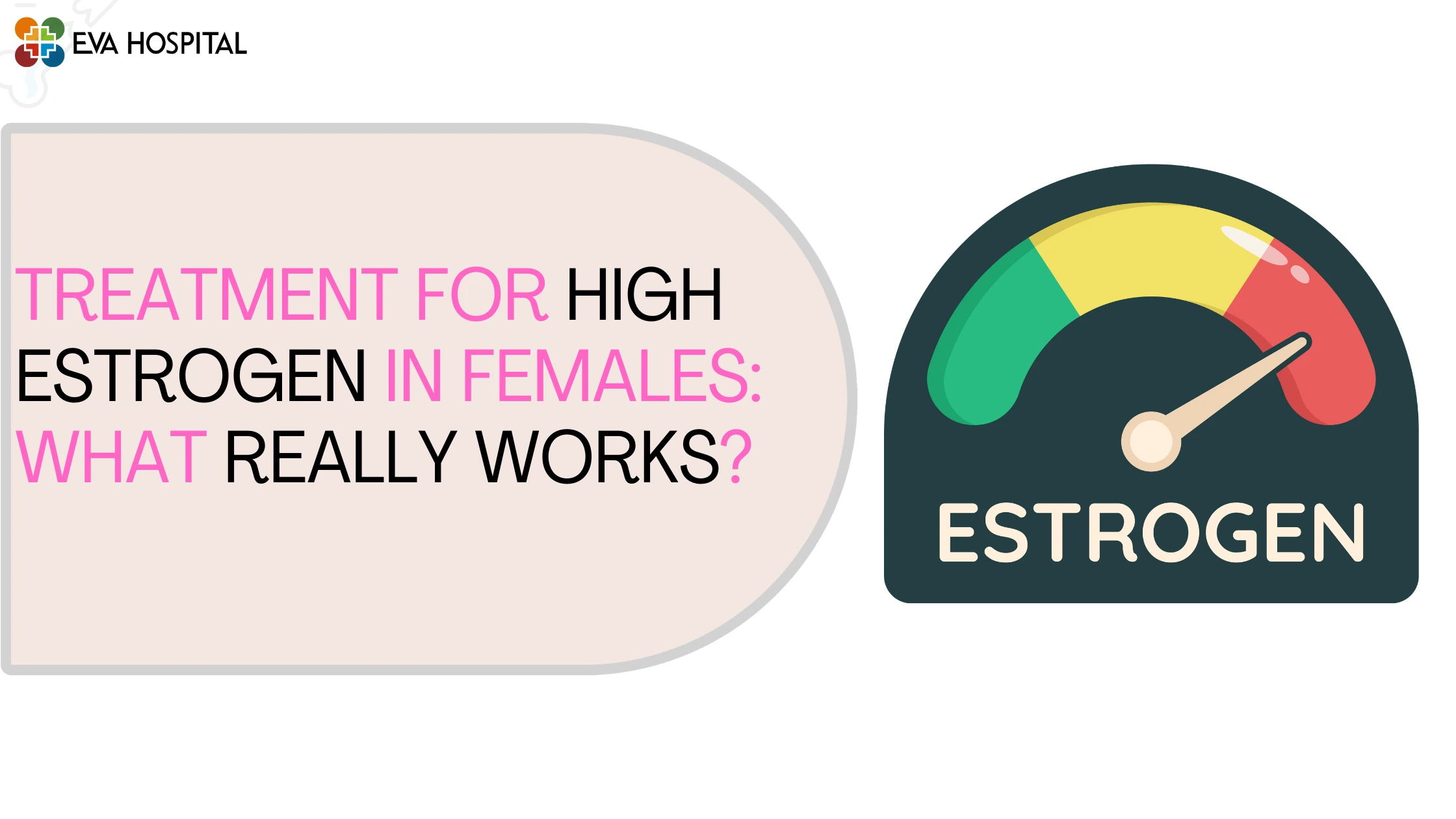 Treatment for High Estrogen in Females What Really Works