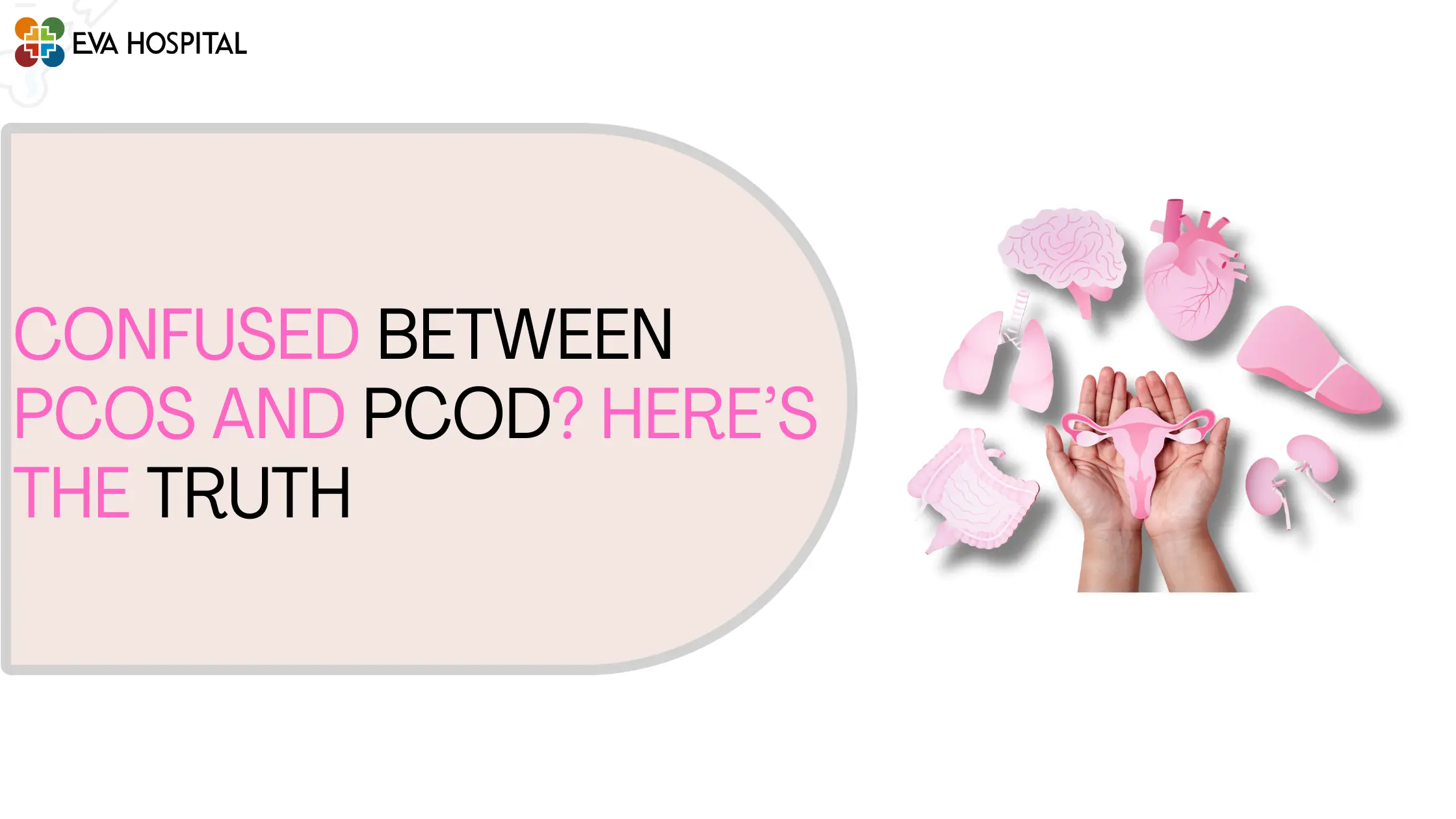 Confused Between PCOS and PCOD Here’s the Truth