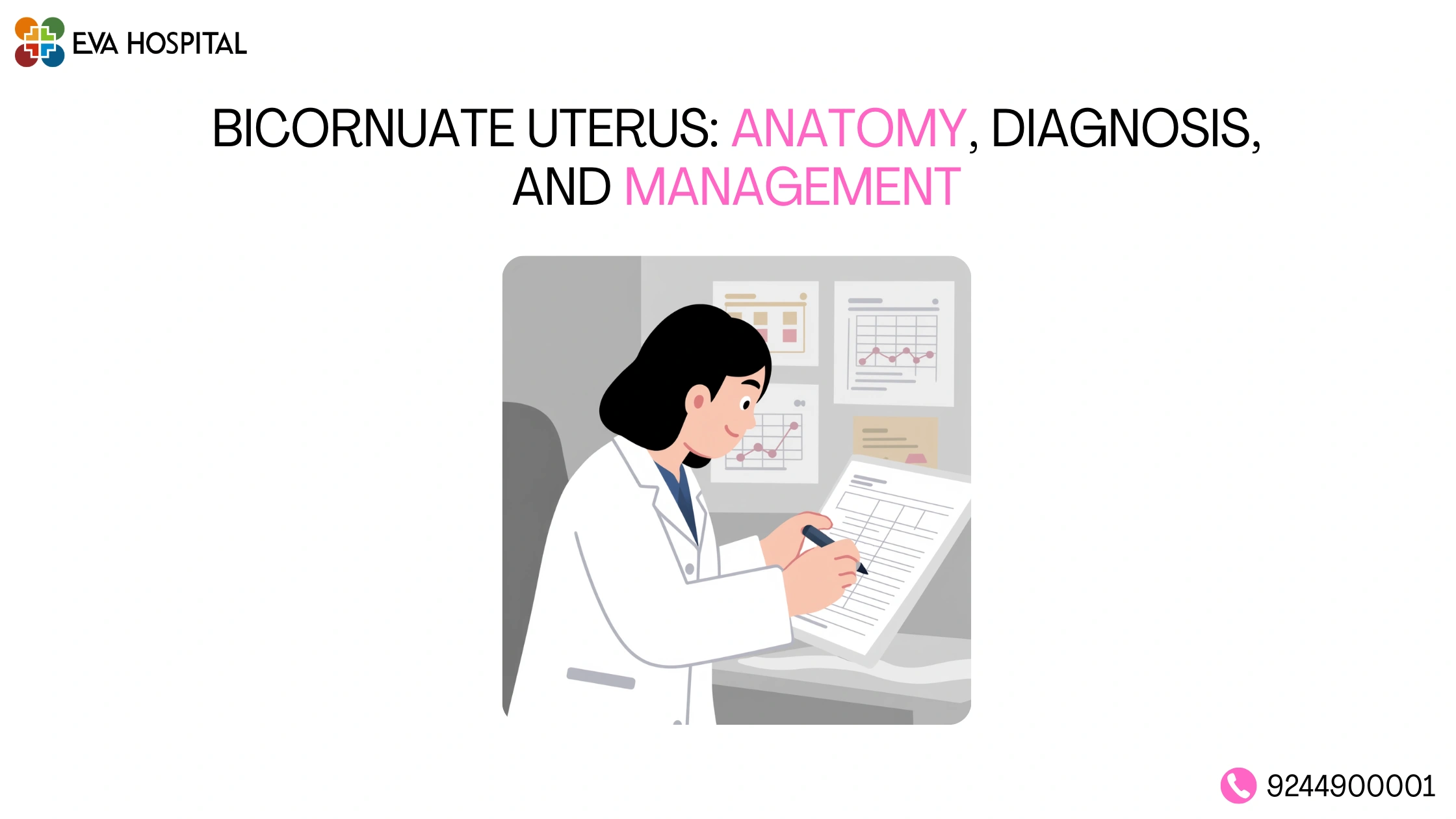Bicornuate Uterus Anatomy, Diagnosis, and Management