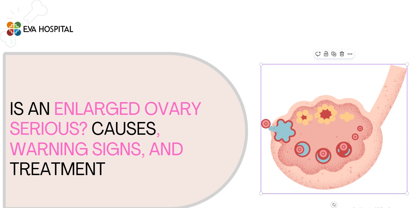Is an Enlarged Ovary Serious Causes, Warning Signs, and Treatment
